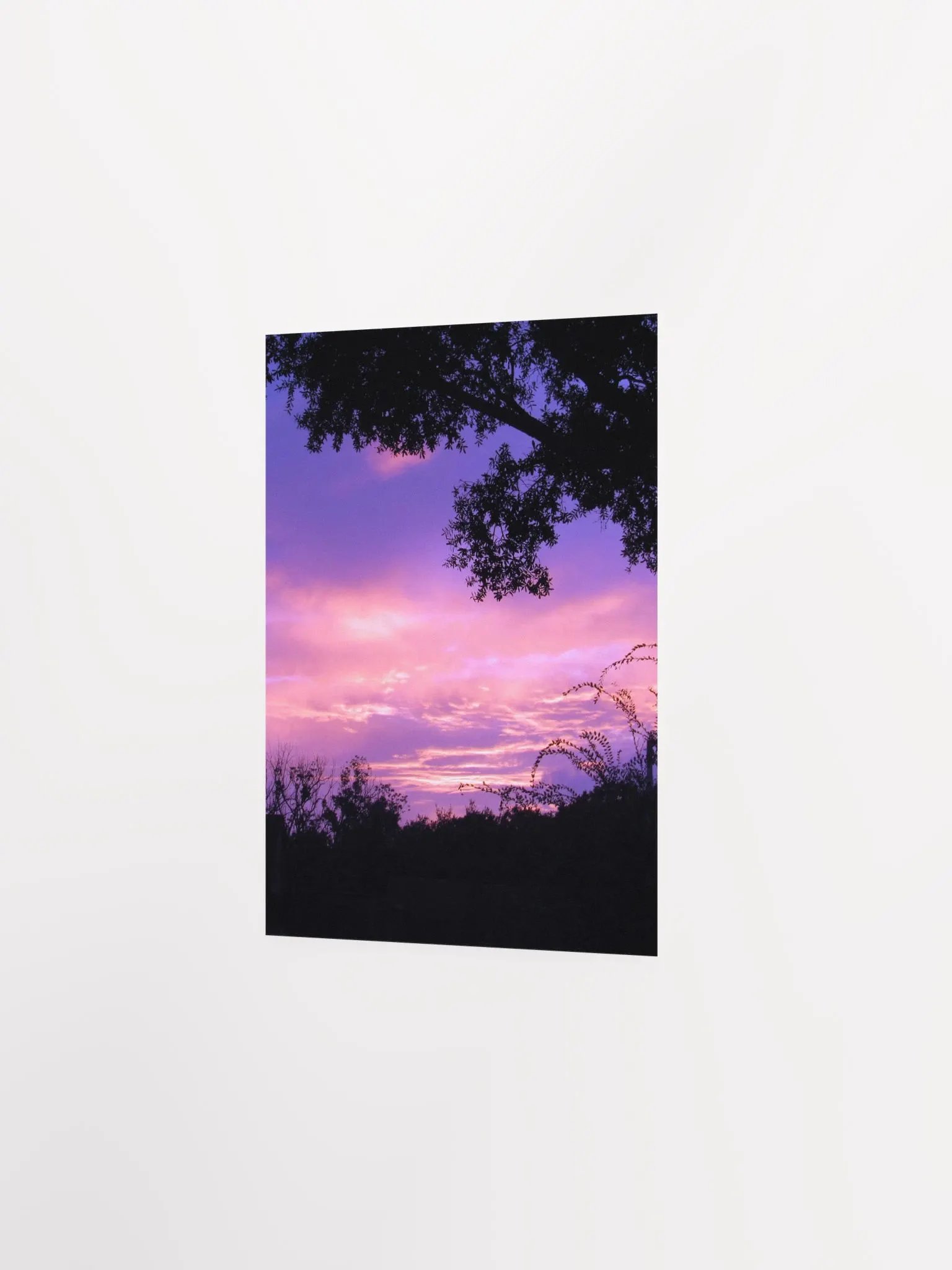 Florida Sunset product image (18)