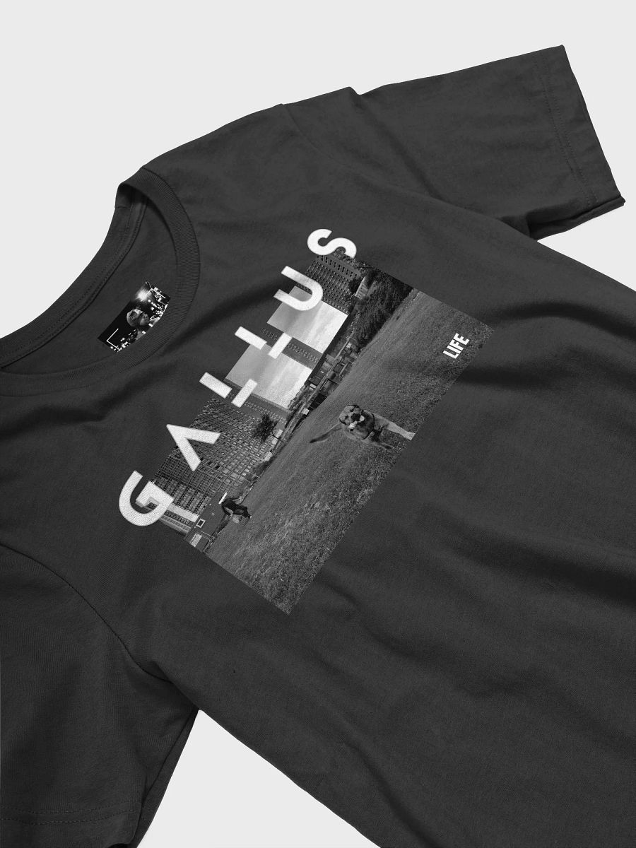 Gallus 2025 Life Collection product image (27)