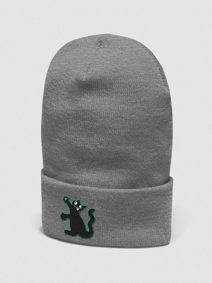 DerpCat Beanie product image (22)