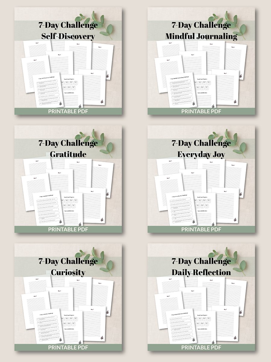 25 Printable 7-Day Challenges Mega Bundle product image (5)