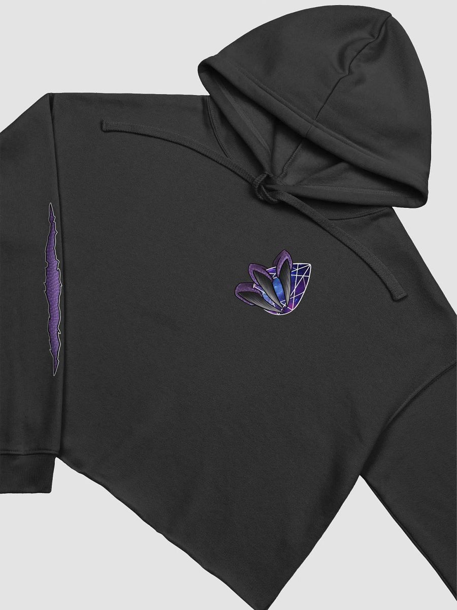 Dragon Tamer Cropped Hoodie product image (4)