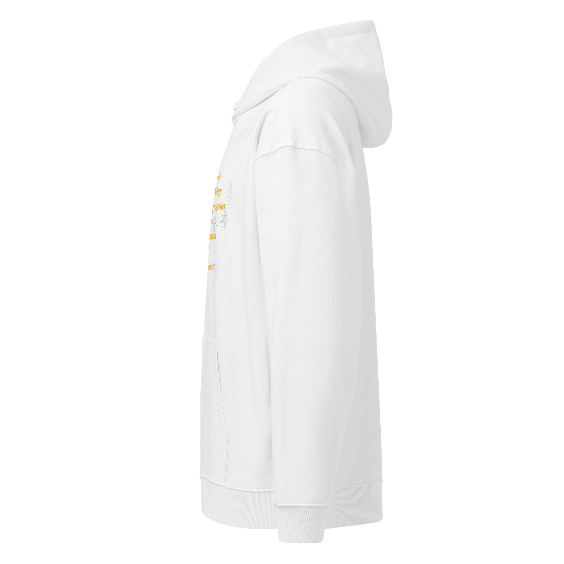 Cosmic Journey Unisex Organic Hoodie product image (6)