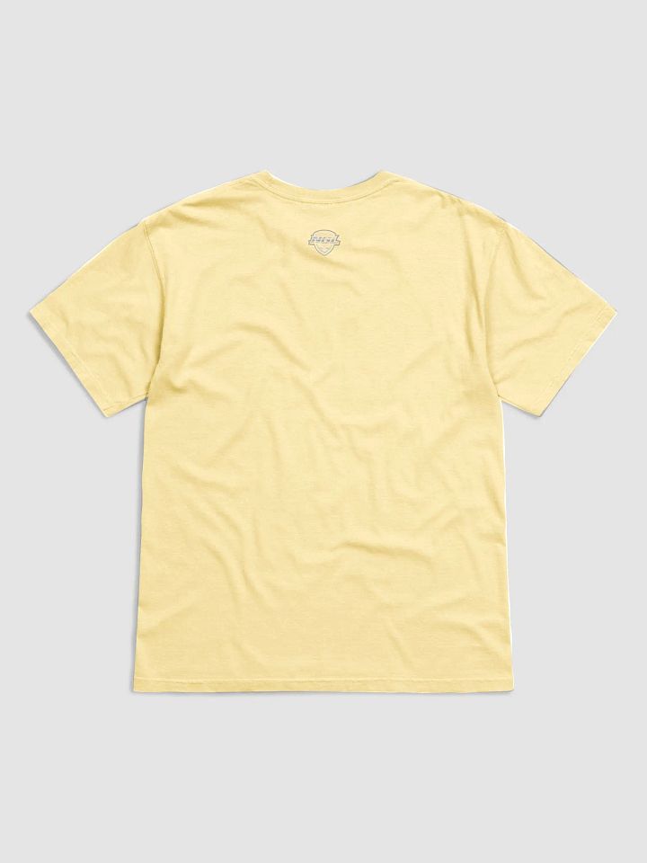 Charleston Pirates T-Shirt by Comfort Colors product image (2)