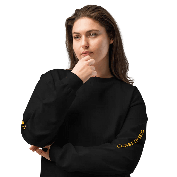 Heavyweight Long Sleeve Shirt CLASSIFIED product image (1)