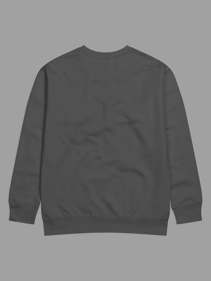 Cognitive Dissonance Sweatshirt product image (2)