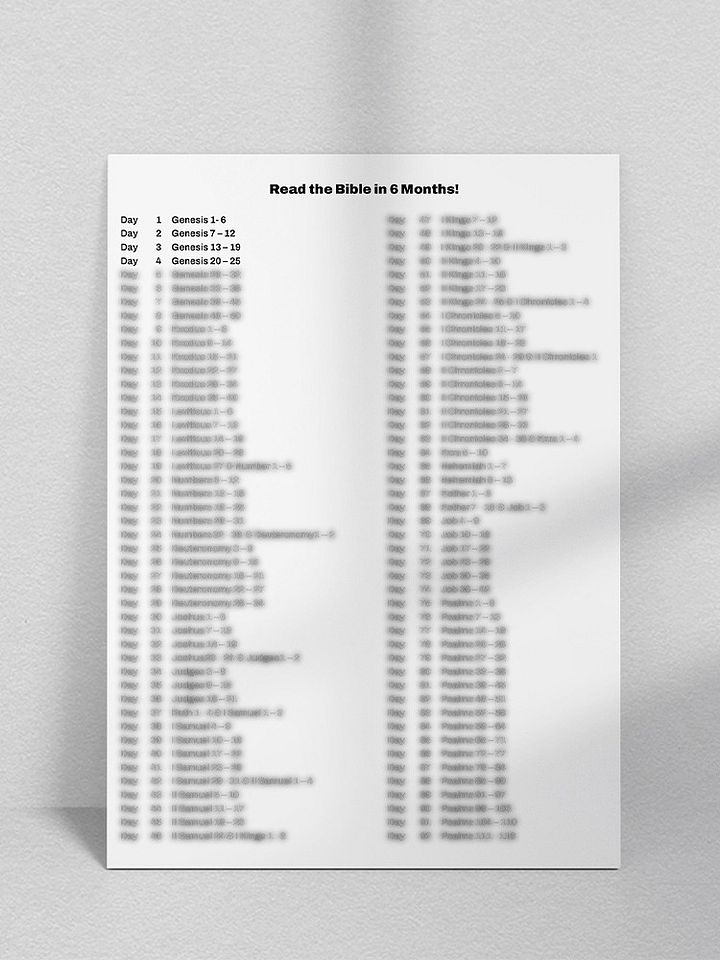 6 Month Bible Reading Plan product image (1)