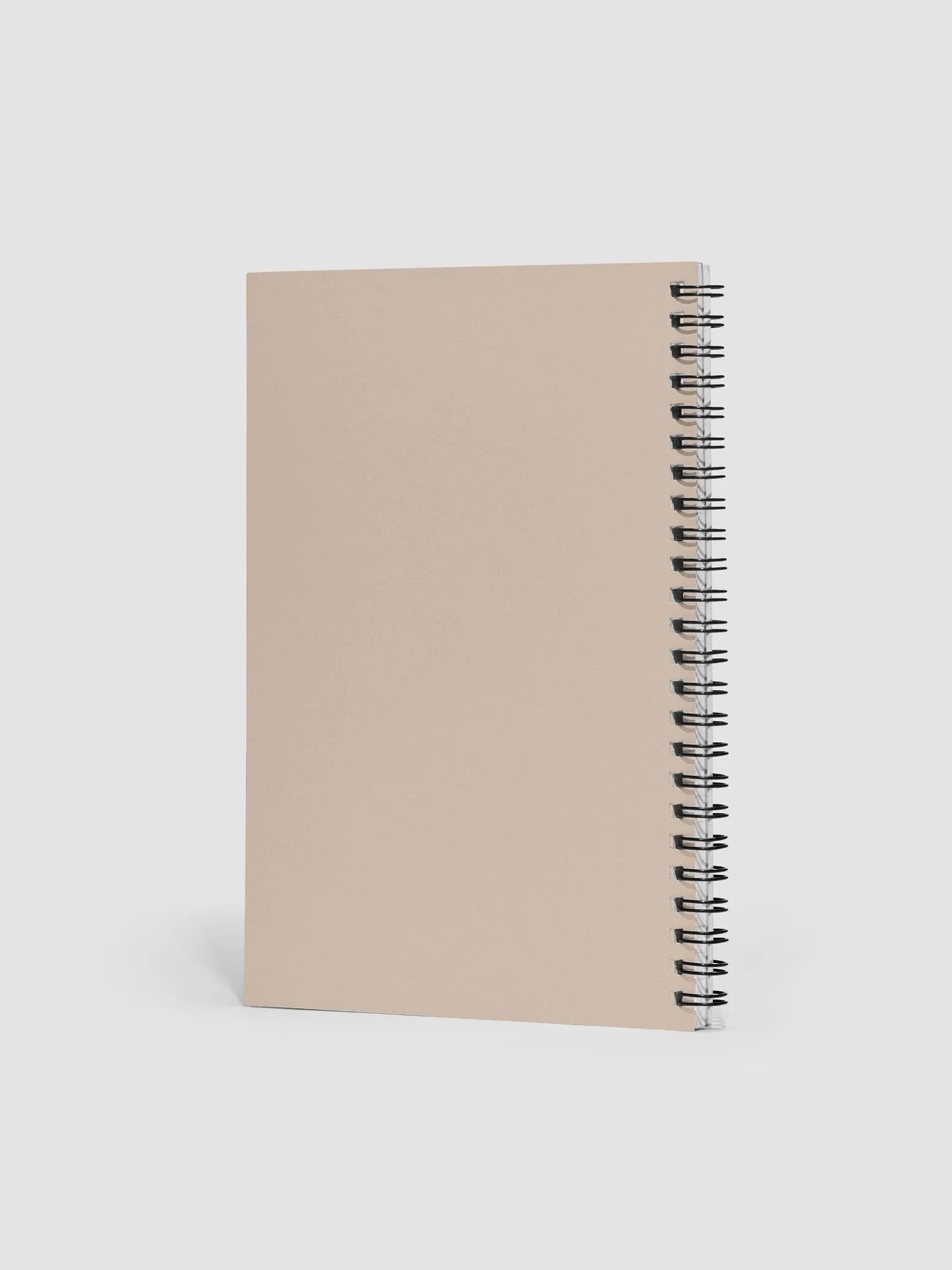 Journal product image (2)