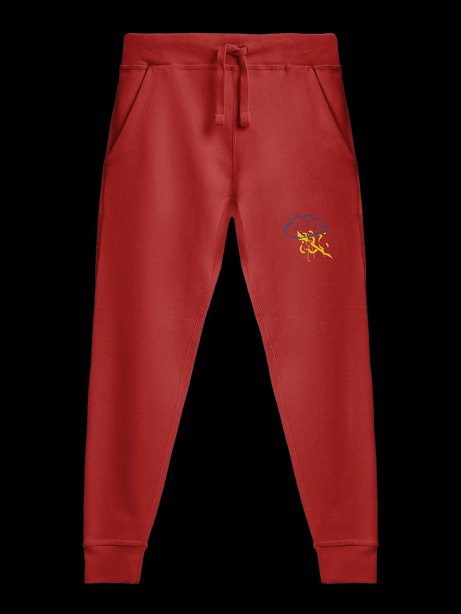 Bolt joggers product image (1)