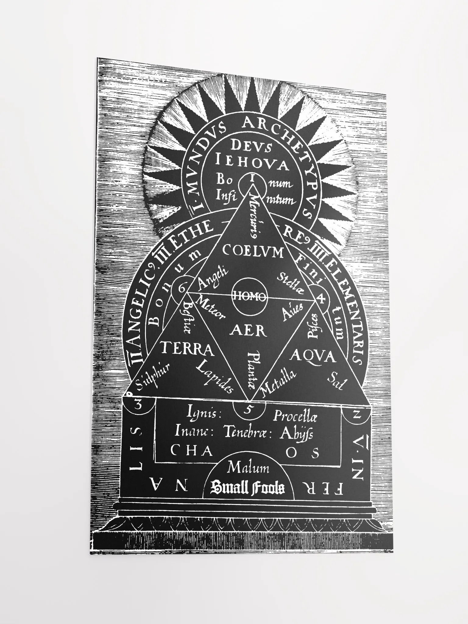 Small Fools Mundus Poster - Black and White product image (2)