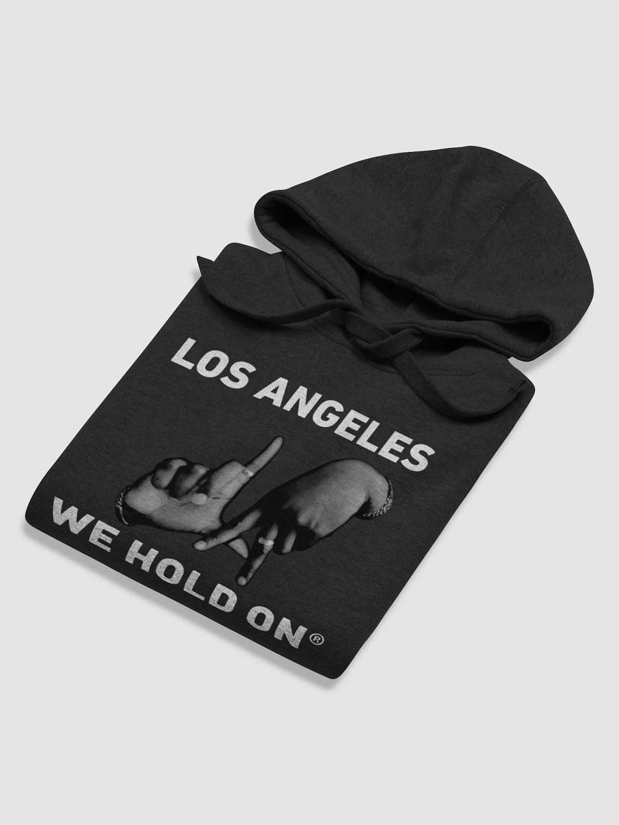 LA Hoodie product image (4)