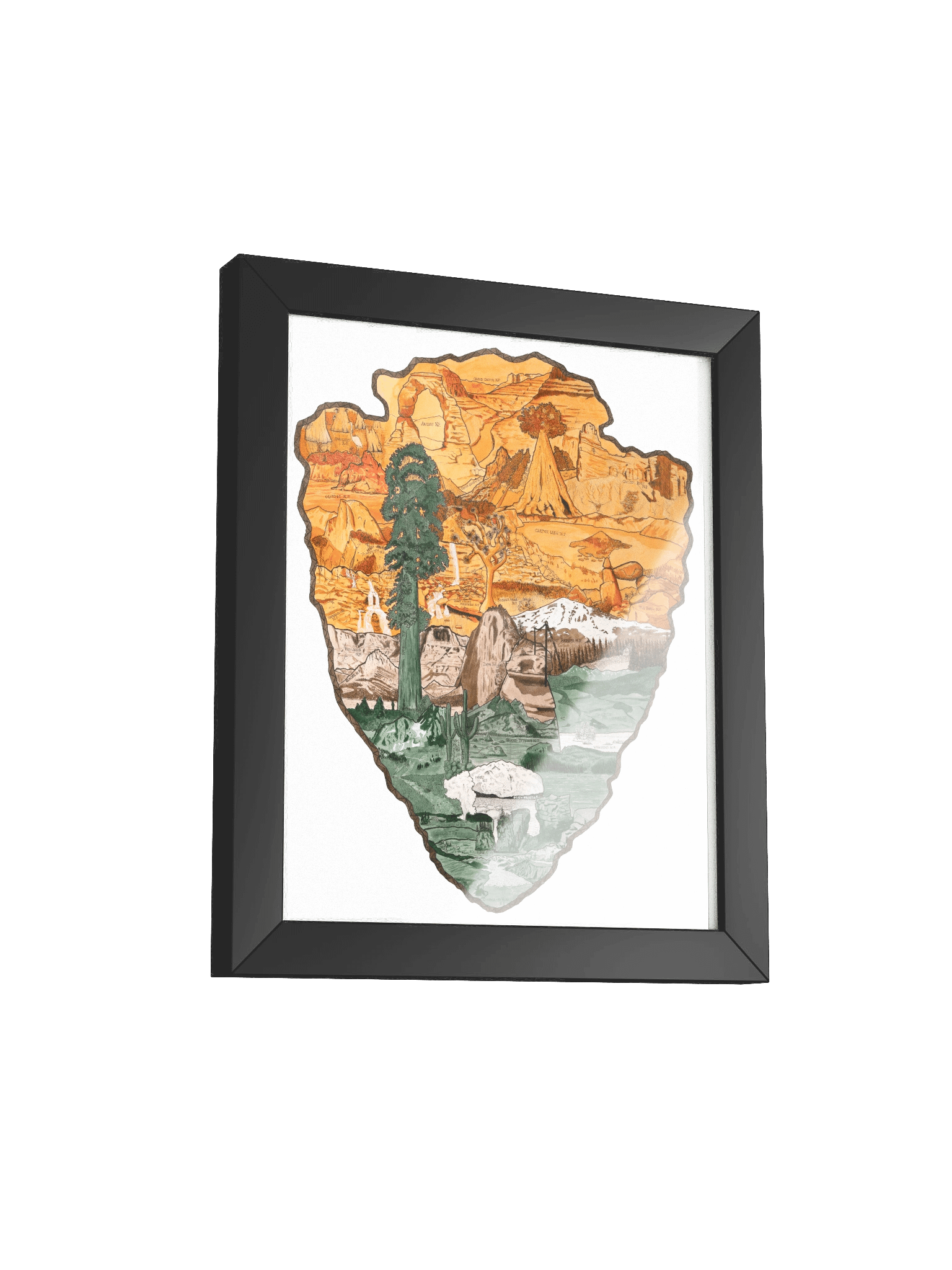 "One Wild Symphony" Framed Print product image (7)