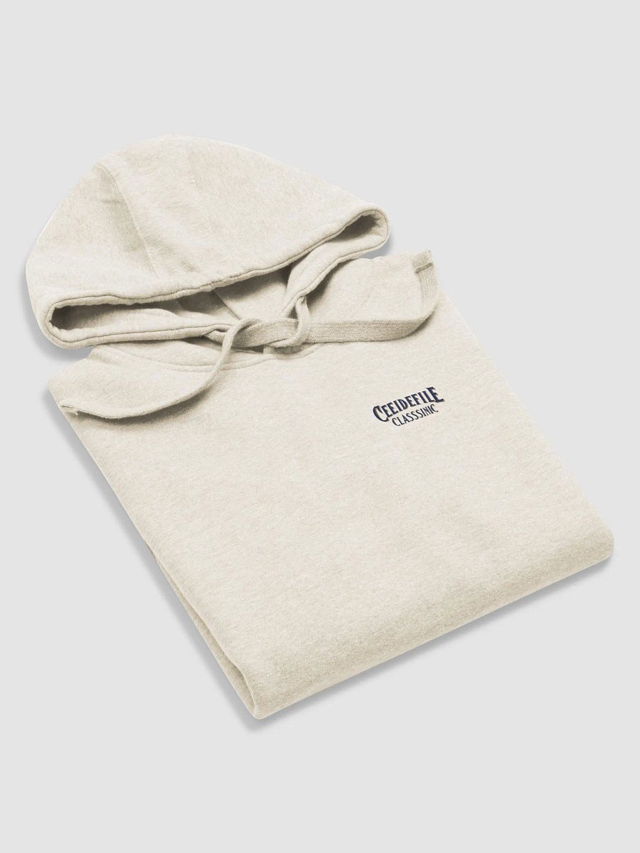 Cee De File Classic Cotton Hoodie product image (25)