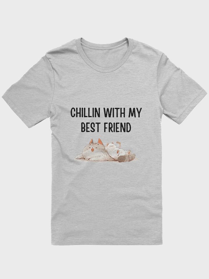 Two Cats Chilling - 