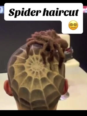 #Spider #haircut #hairtok #hairstyle #hairtutorial #hairtransformation #haircare #haircutchallenge #haircutconsultation @everyone 