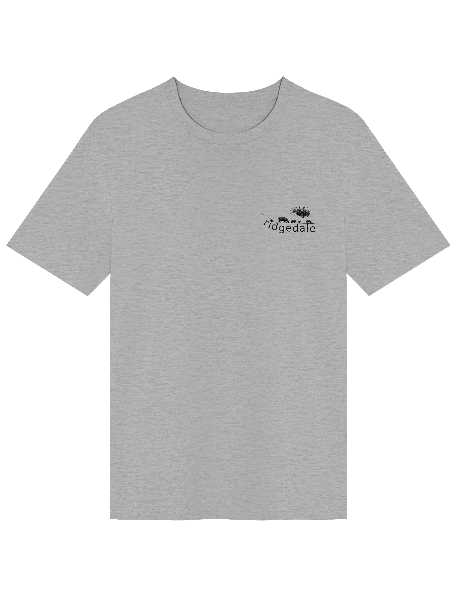 Ridgedale Organic T Shirt Grey product image (1)