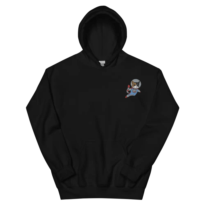 Embroidered Hoodie - Space Kitty product image (2)