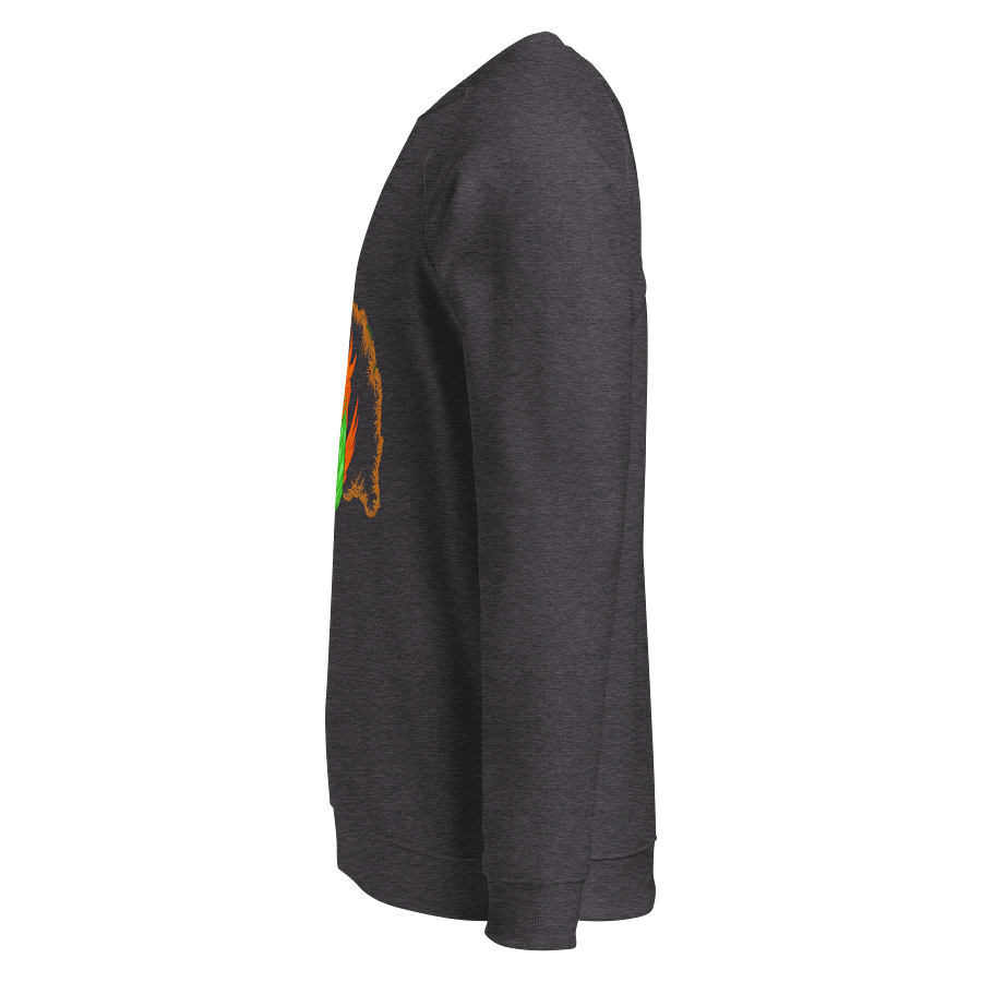 Dragon Crest Unisex Raglan Sweatshirt product image (3)