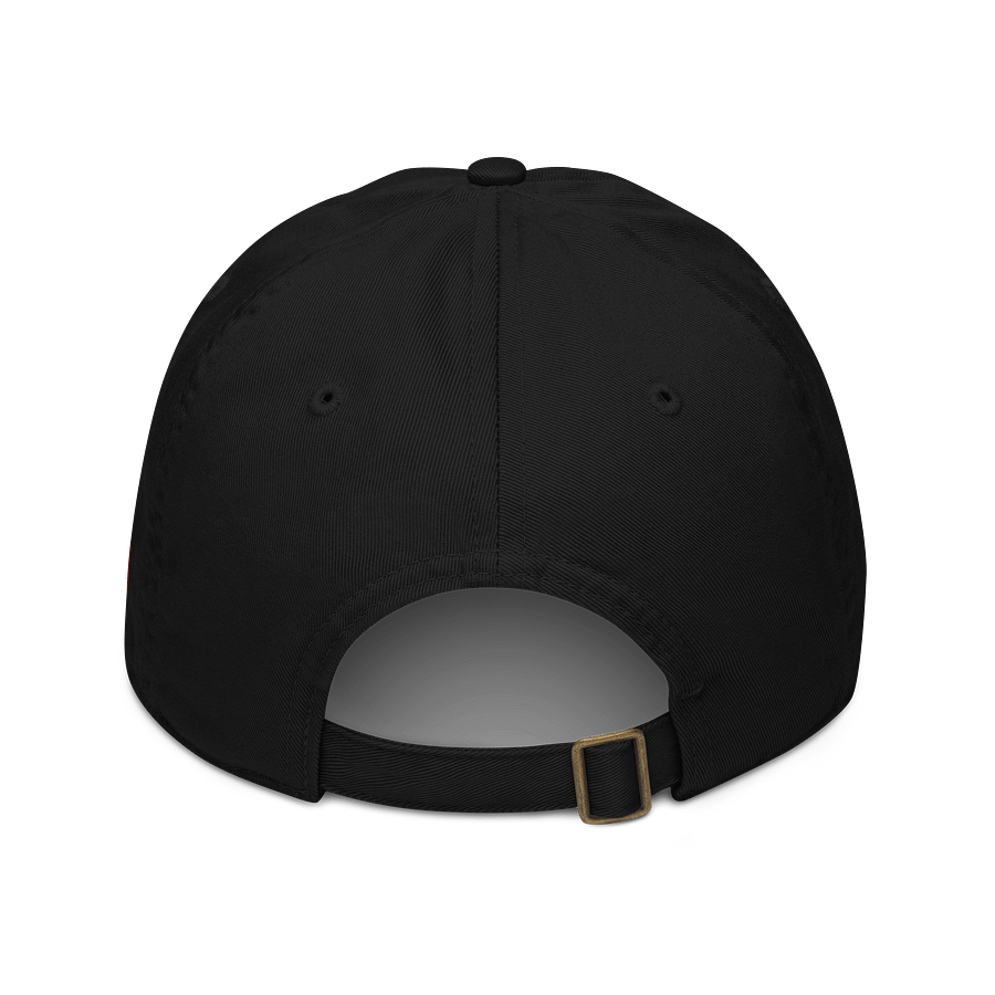 Trippin' With Jay Organic Dad Hat product image (2)