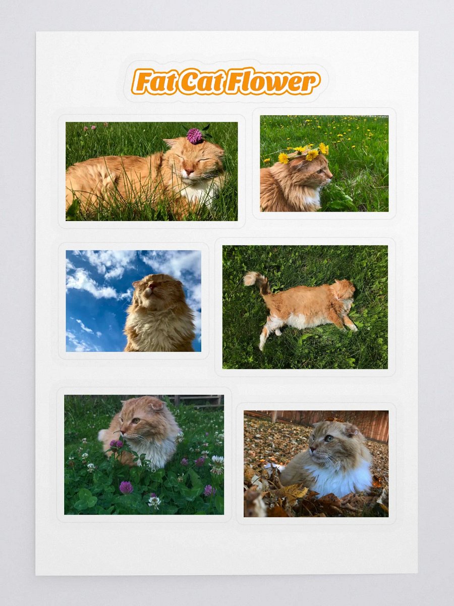 Fat Cat Flower Photos Sticker Sheet product image (3)
