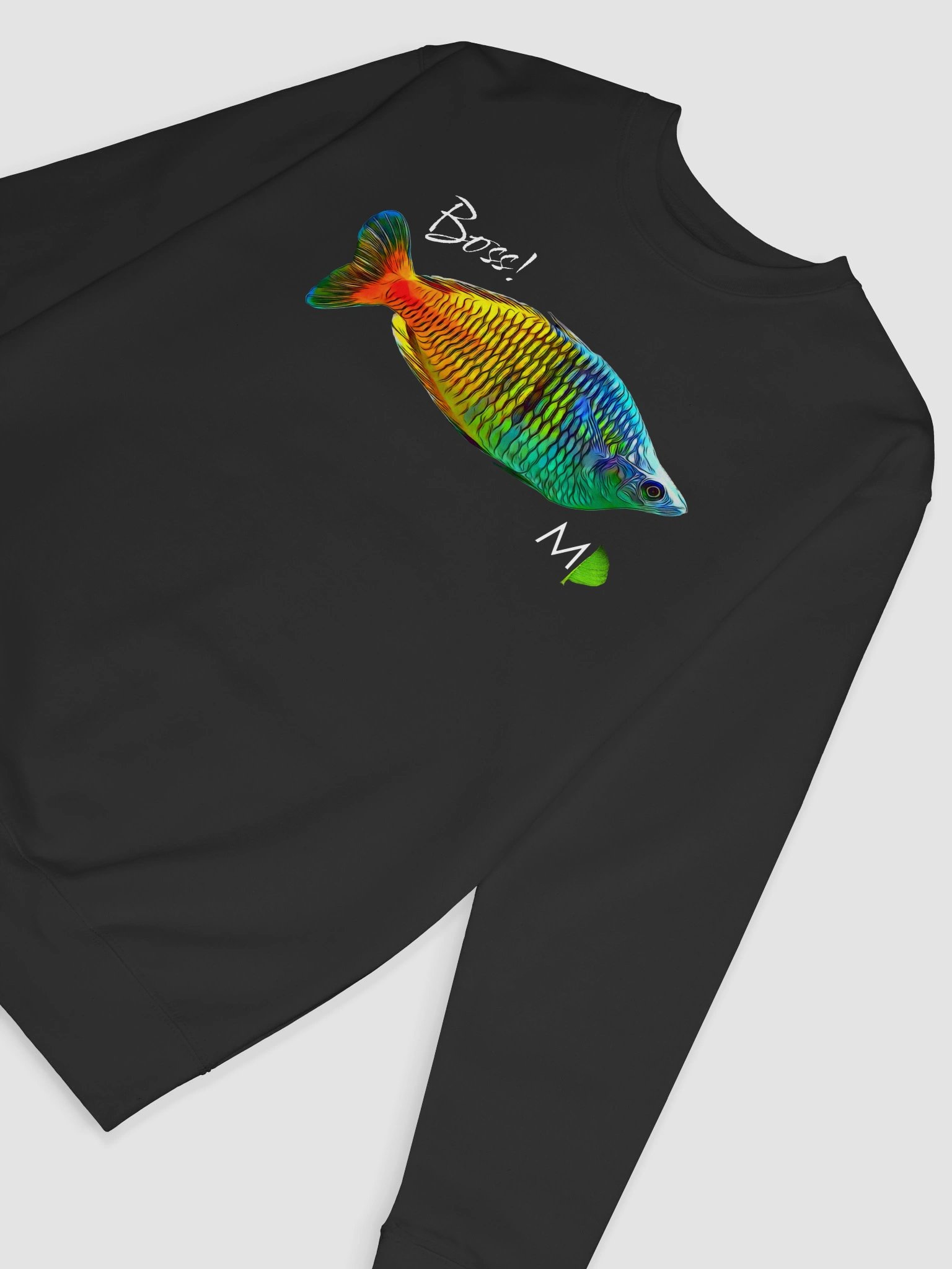 OG Rainbow FRONT PRINT Sweatshirt product image (3)