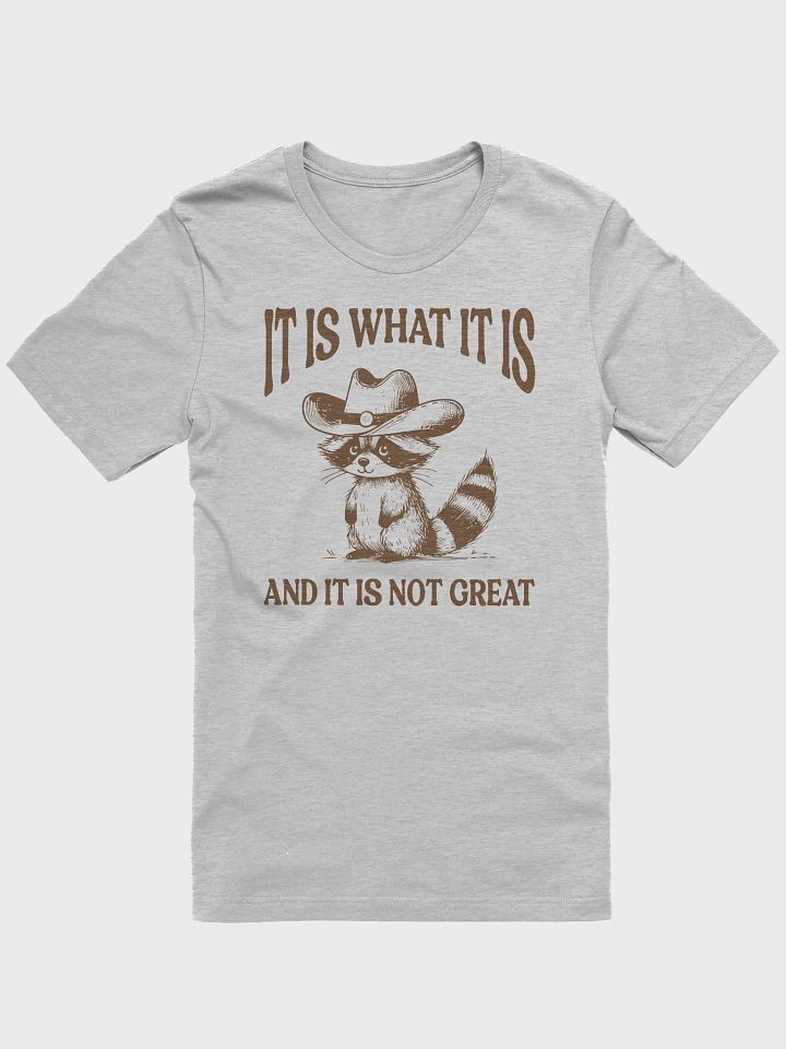 It Is What It Is and It Is Not Great Funny Raccoon T-Shirt product image (1)