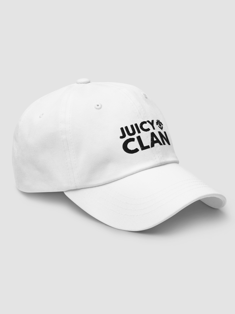 Embroidered Dad Hat - JUICY CLAN product image (3)