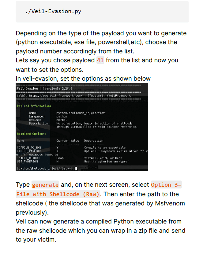 AntiVirus Evasion & Bypass Study Notes product image (5)