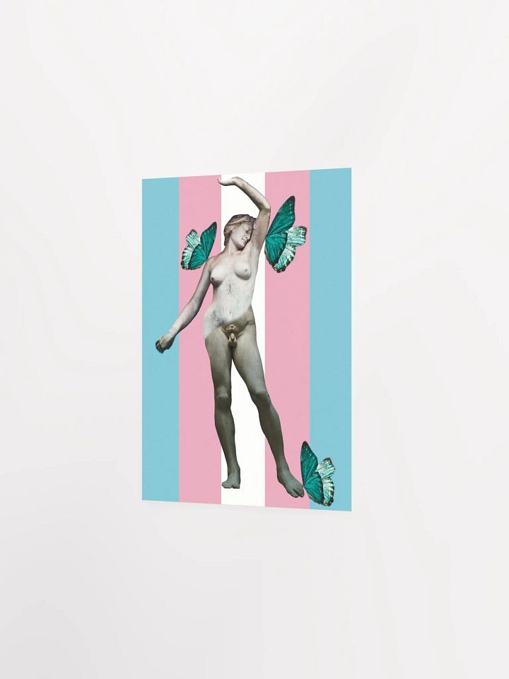 Trans Butterfly Poster product image (2)