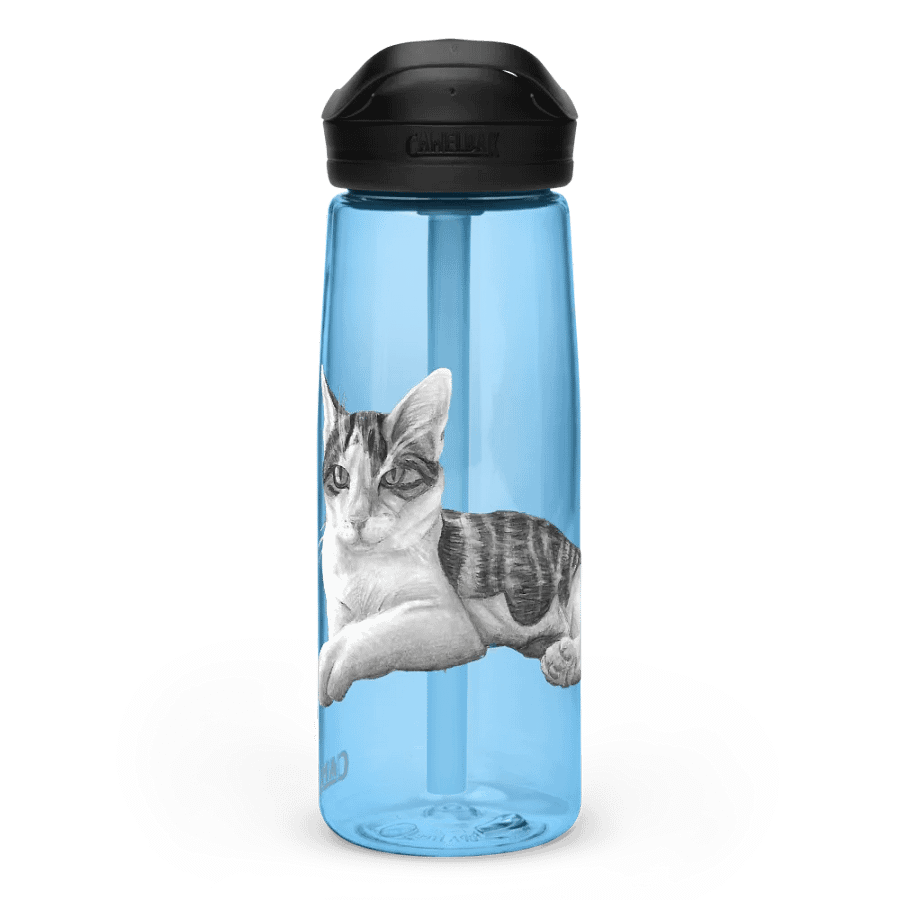 Cat Drawing Water Bottle Straw product image (60)