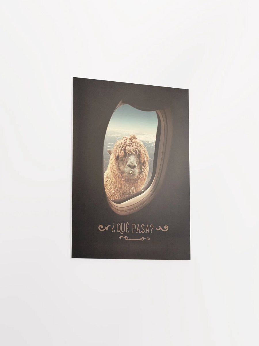 Llama's Perspective Poster "¿Que Pasa?" product image (22)