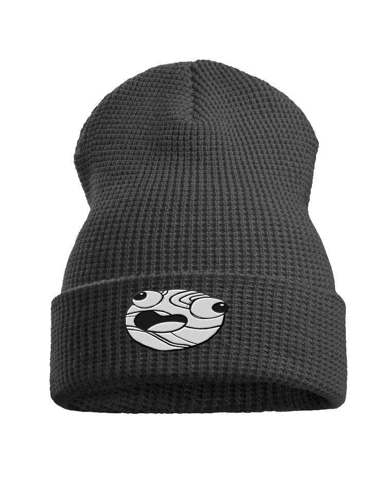 Planet Derp Waffle Beanie product image (4)