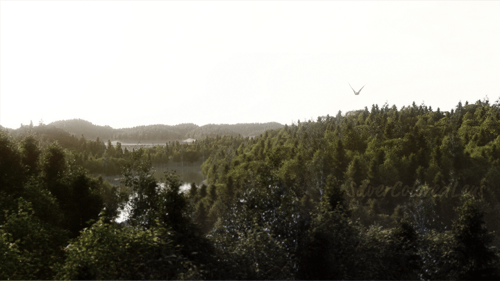 Realistic Aerial Forest Scene product image (1)