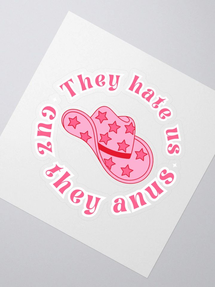 They hate us Sticker product image (4)