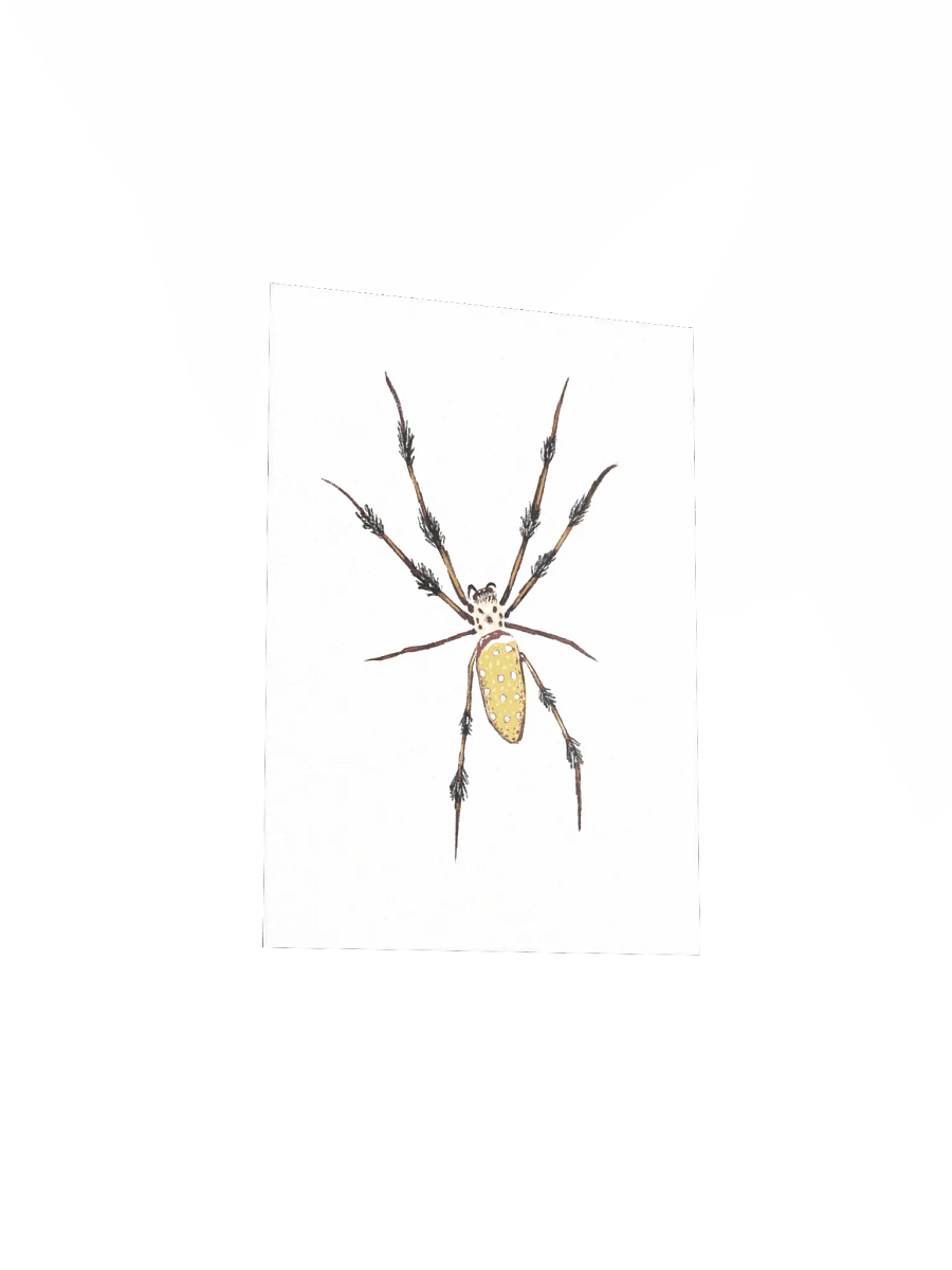 Smart Spider Mini Print product image (3)