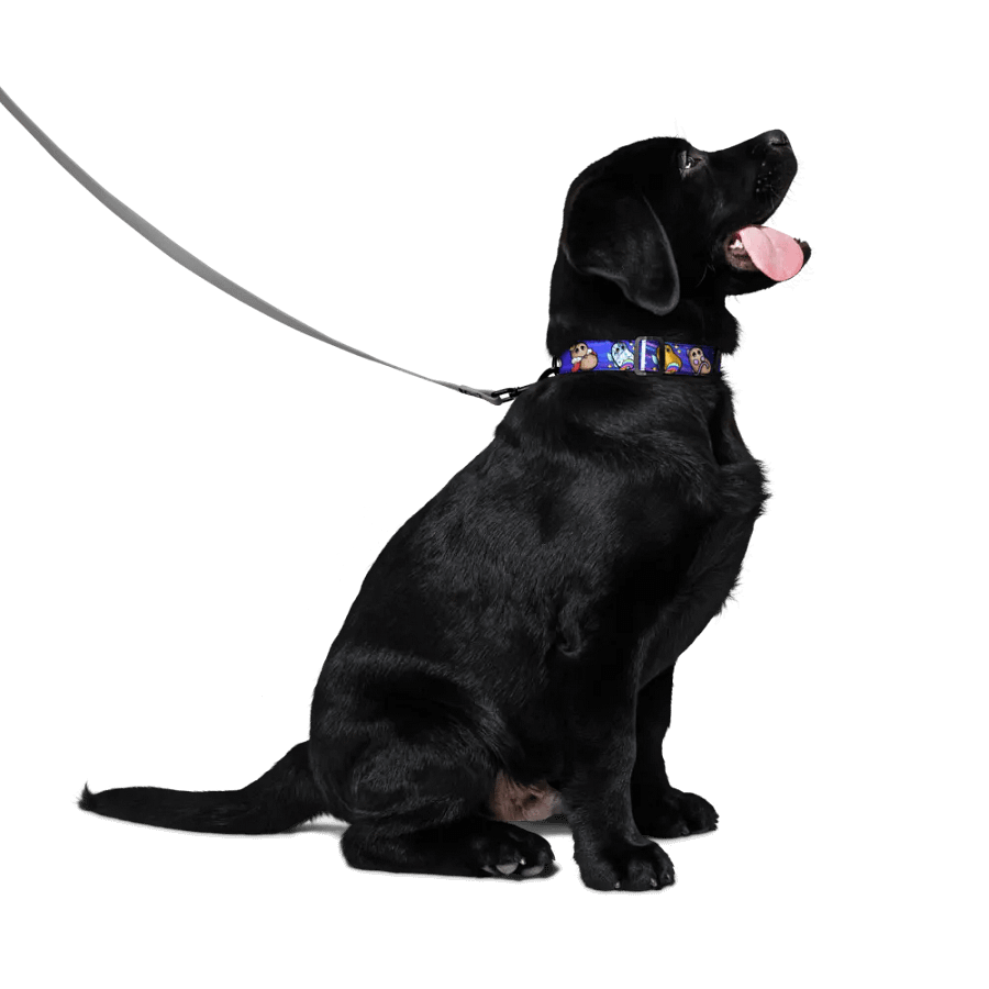 ''Patates intergalactiques'' Collier pour animal (M) product image (2)
