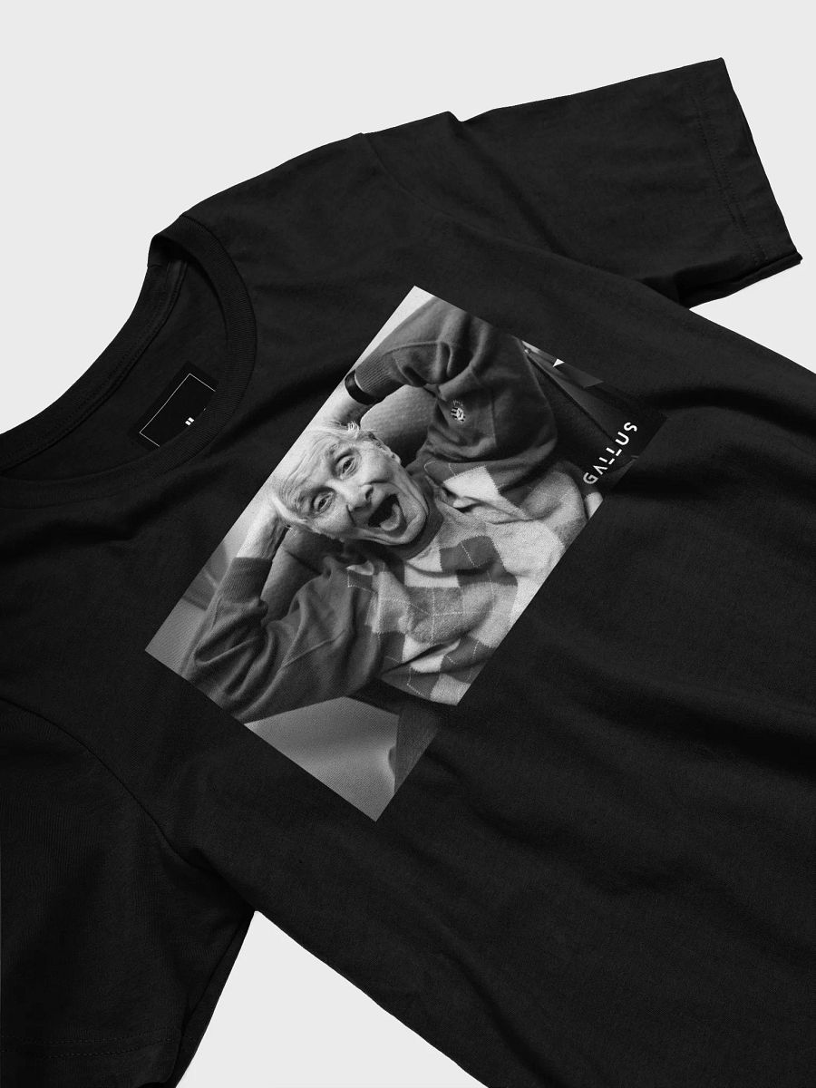 Gallus T-Shirts - Ronnie Biggs London by Brian Anderson product image (31)