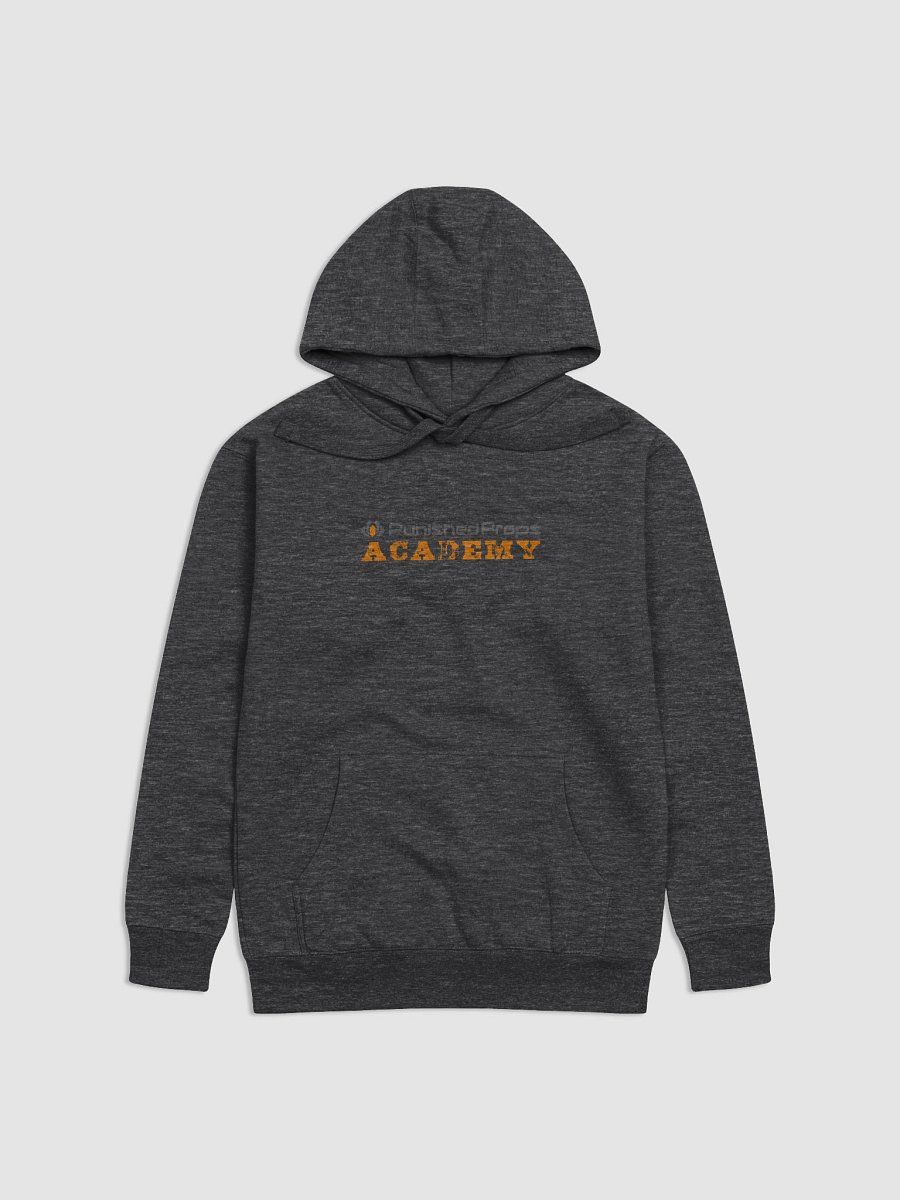 Punished Props Academy Hoodie product image (1)