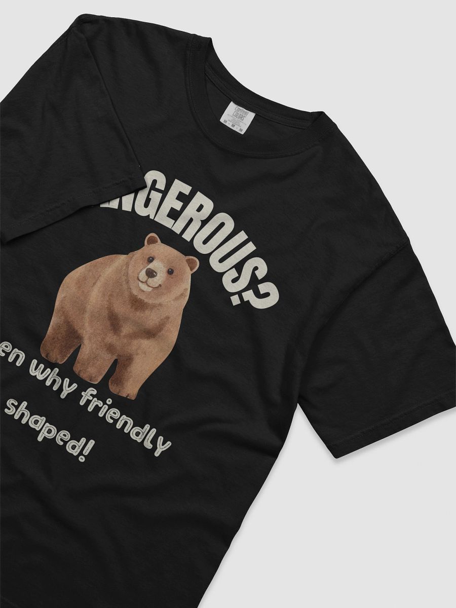Dangerous, then why friendly shaped ? -Tee product image (24)