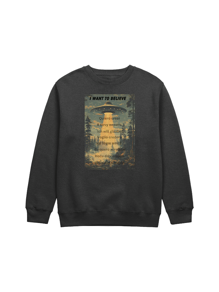 UFO Sweatshirt "I Want To Believe" Multiple languages product image (1)