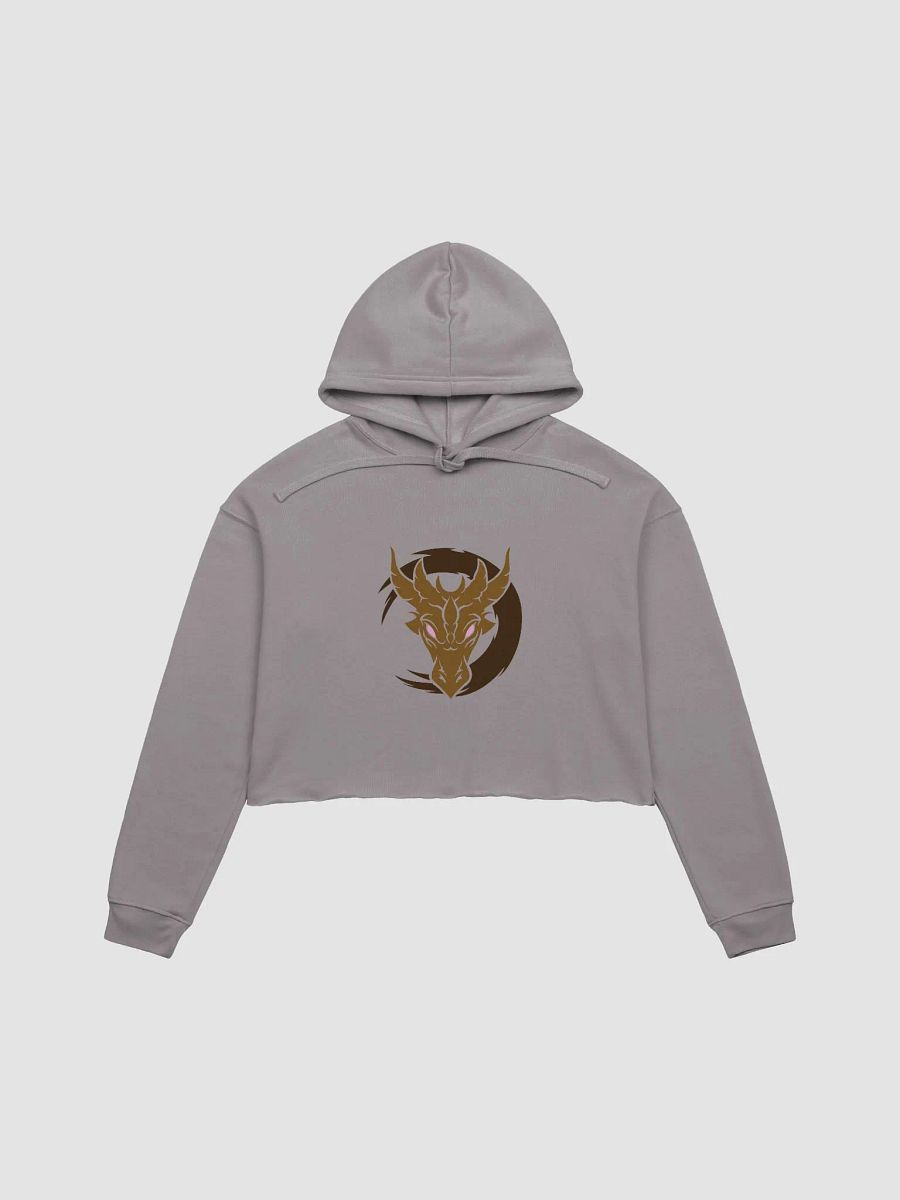 Crop Hoodie - Aerinda Karasha product image (17)