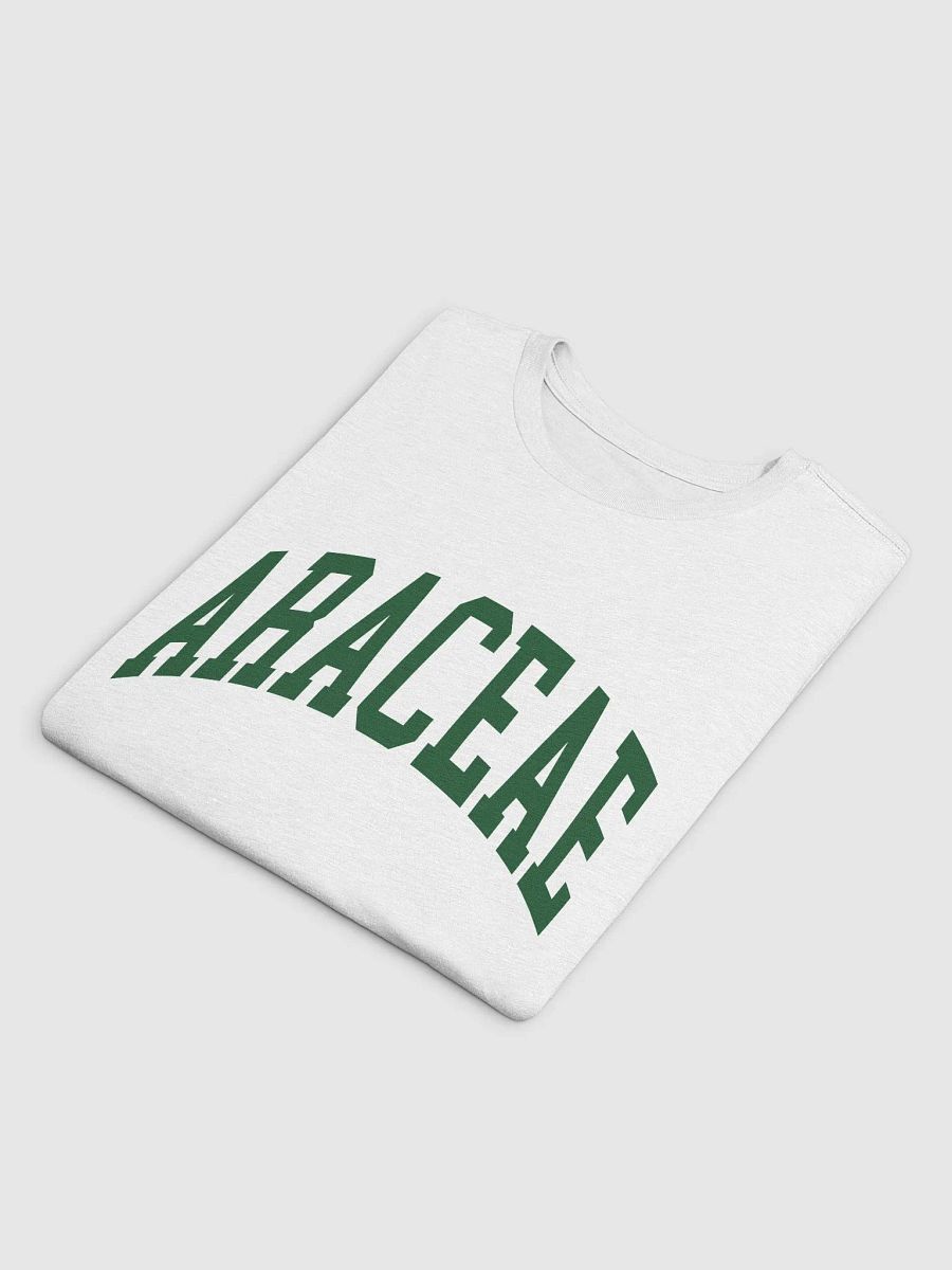 ARACEAE varsity supersoft unisex tee product image (4)