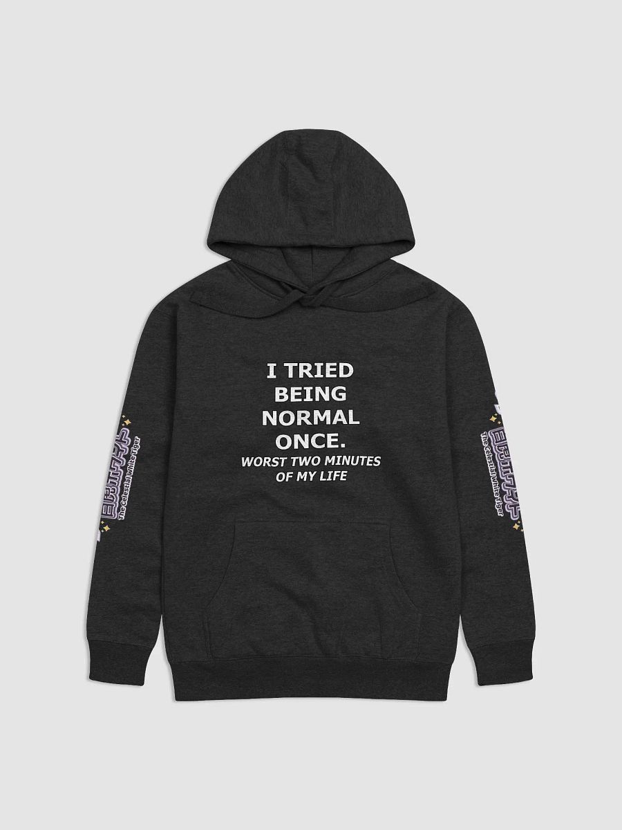 Hoodie (Unisex) - Byakko Being Normal Edition product image (1)