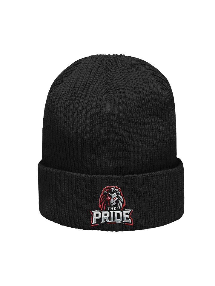 The Pride Beanie product image (19)