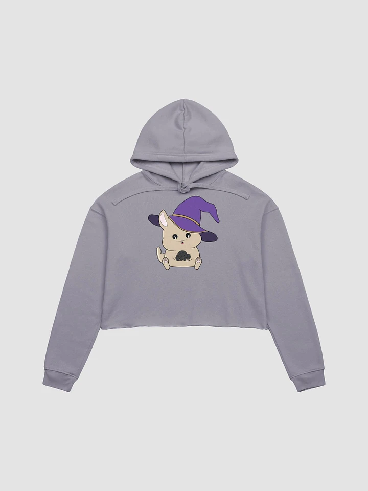 Thingy Cropped Hoodie product image (3)