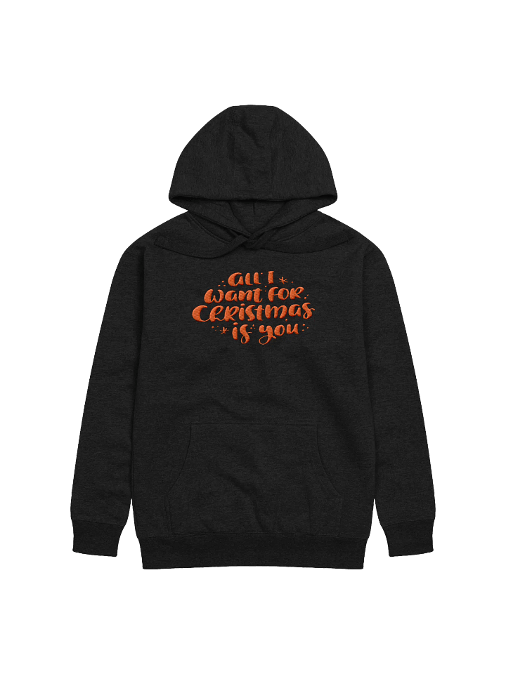 Festive Holiday Wishes Embroidered Unisex Premium Hoodie product image (1)