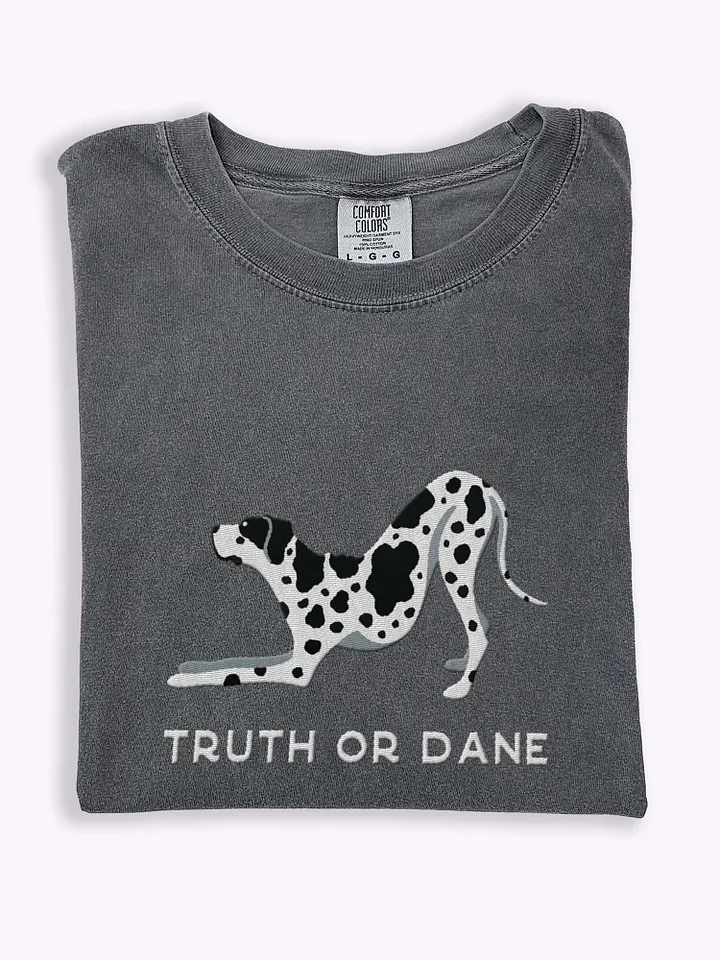 Truth or Dane T-Shirt(Embroidered) of a Great Dane(Harlequin) product image (1)
