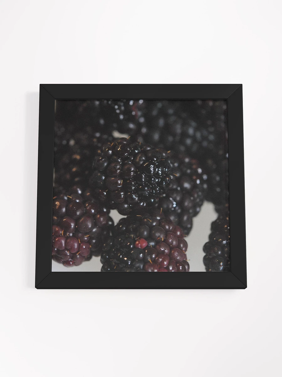 Blackberries Framed Poster product image (60)