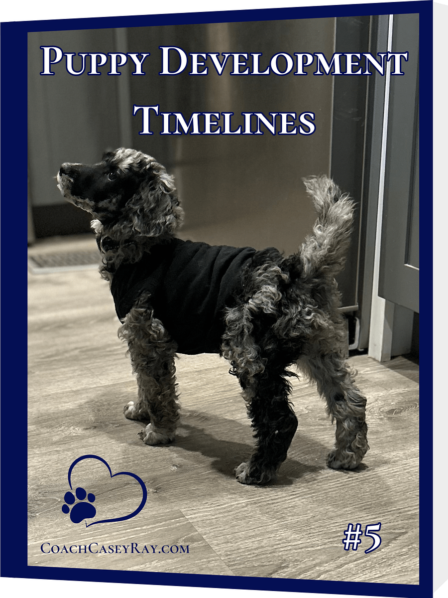 Dream Puppy™ Bundle 6-Pack product image (5)