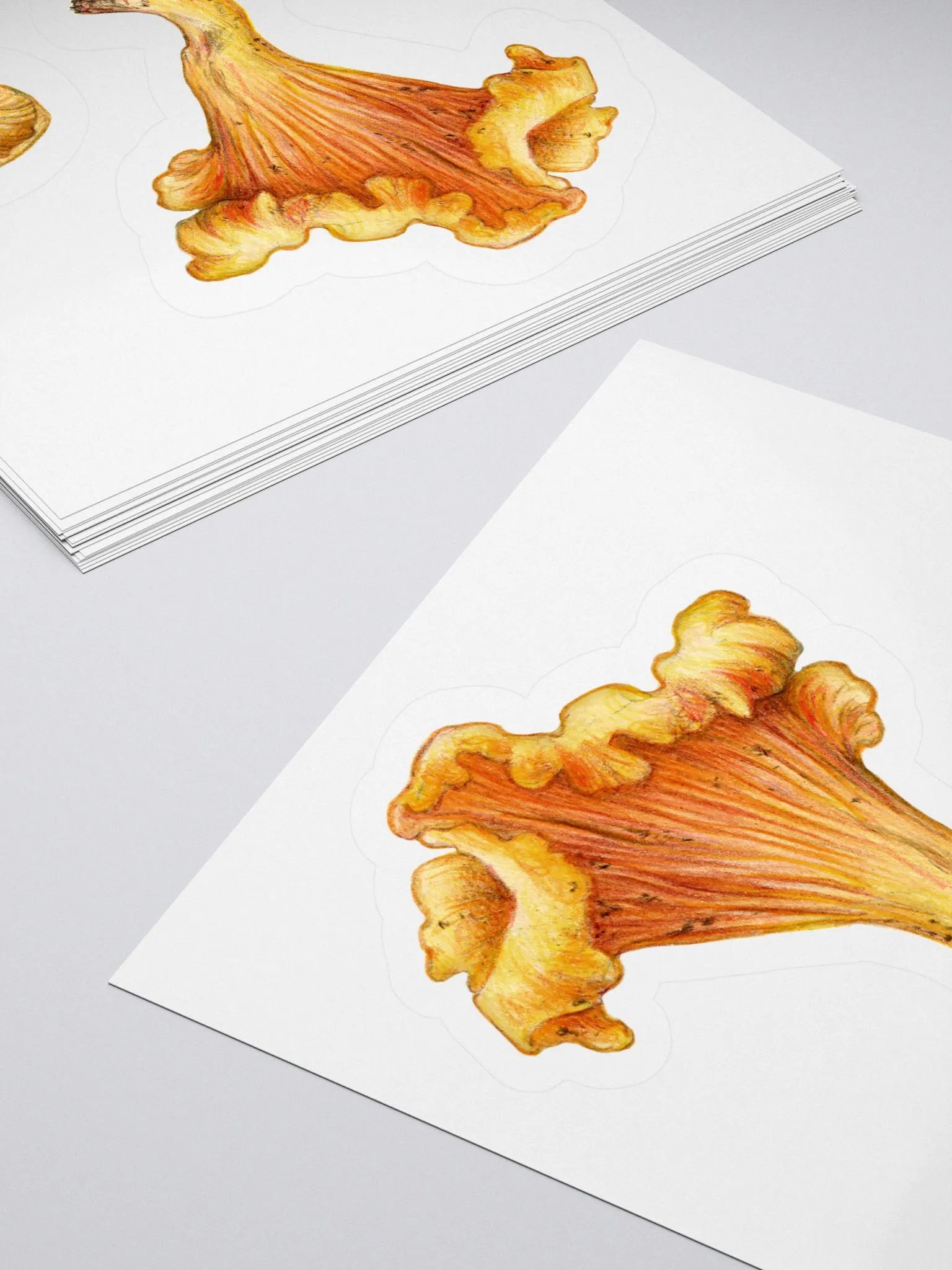 Chanterelle mushroms stickers product image (4)