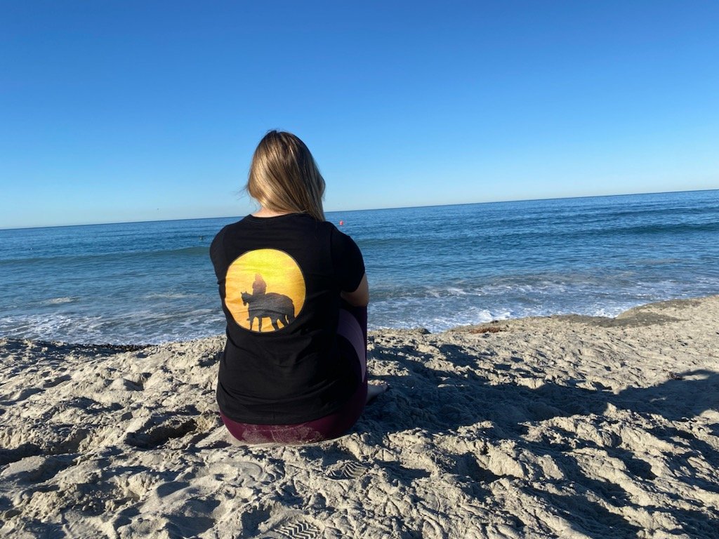 SoS Sunset T-shirt product image (1)